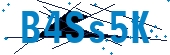 recaptcha