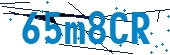 recaptcha